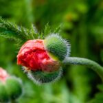 Fast food companies compete for the best value meal