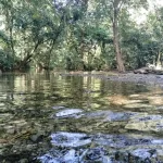 অসমবাসীয়ে লাভ কৰিলে অষ্টমখন ৰাষ্ট্ৰীয় উদ্যান: শিখনা জ্হৱলাও ৰাষ্ট্ৰীয় উদ্যান স্থাপনৰ অনুমোদন