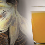 ভীমকলৰ যাদু– গৰমৰ দিনত ভীমকলে দেহ কেনেকৈ কৰি ৰাখে ঠাণ্ডা?