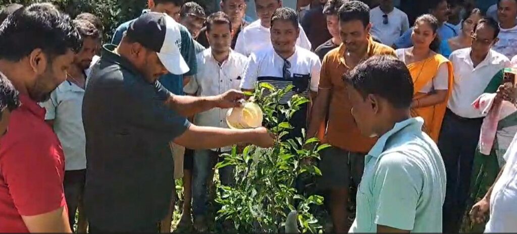 জামুগুৰিহাটত পদ্মপুৰ মিলিজুলি সংঘৰ উদ্যোগত চাফাই অভিযান আৰু বৃক্ষৰোপণ কাৰ্যসূচী ৰূপায়ণ