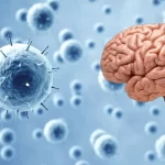 Kerala Faces Rising Threat from Deadly Brain-Eating Amoeba: 42 Cases and 3 Deaths Reported in 2025