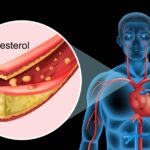 The Heart's Harmony: Your guide to naturally lowering cholesterol