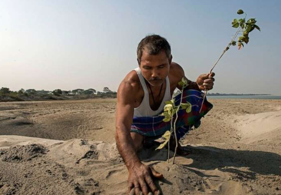 Blaze Damages Padma Shri Jadav Payeng’s River Island Reforestation Project in Majuli
