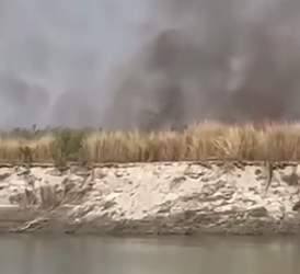 Blaze Damages Padma Shri Jadav Payeng’s River Island Reforestation Project in Majuli