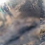 Fatal Dynamite Blast at Illegal Meghalaya Coal Mine Leaves 4 Dead